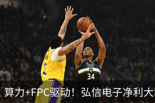 算力+FPC驱动！弘信电子净利大增139%，股价较年内高点回撤超40%